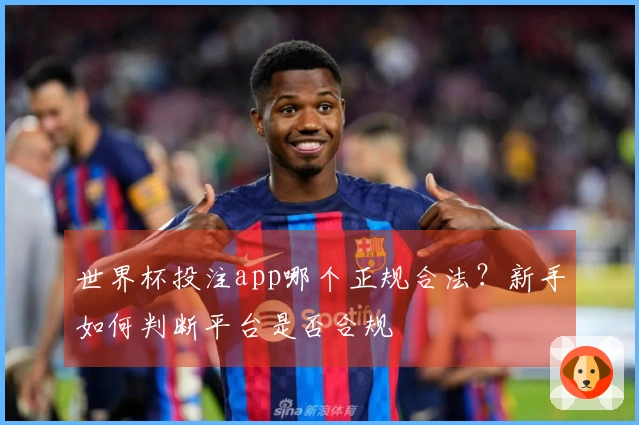 世界杯投注app哪个正规合法？新手如何判断平台是否合规