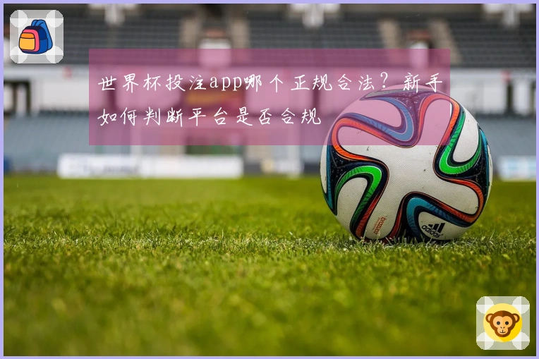 世界杯投注app哪个正规合法？新手如何判断平台是否合规